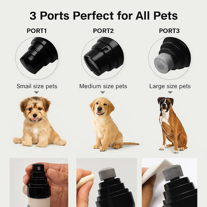 Paw Grind Pro
